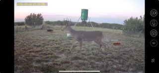 542 Co Rd 2275 RD, Lampasas, TX 76550