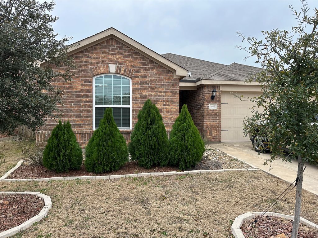 1603 White Mountain Way, Princeton, TX 75407