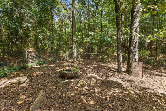13841 New Orleans Dr, Coker, AL 35452