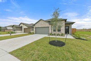1118 Wildflower Way Drive, Beasley, TX 77417