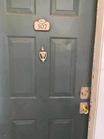 4301 LIZSHIRE LANE 307, Orlando, FL 32822