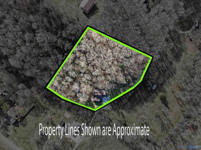 18518 Camellia Way, Elkmont, AL 35620