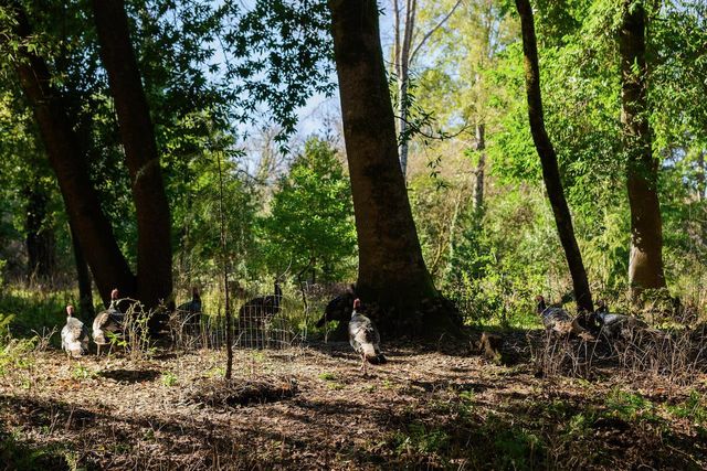 515 Lockhart Gulch Road, Scotts Valley, CA 95066