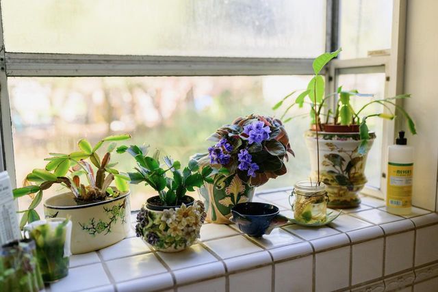 515 Lockhart Gulch Road, Scotts Valley, CA 95066