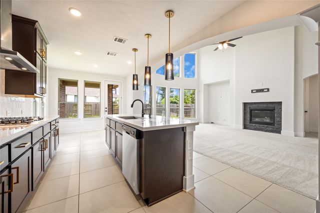 18014 Blu Terrace Drive, Conroe, TX 77302