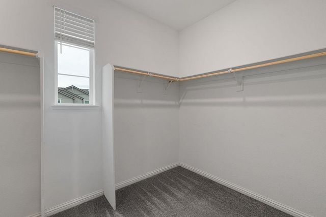 1652 Andromeda Ct, Lathrop, CA 95330