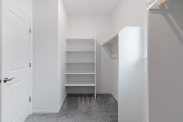 1652 Andromeda Ct, Lathrop, CA 95330