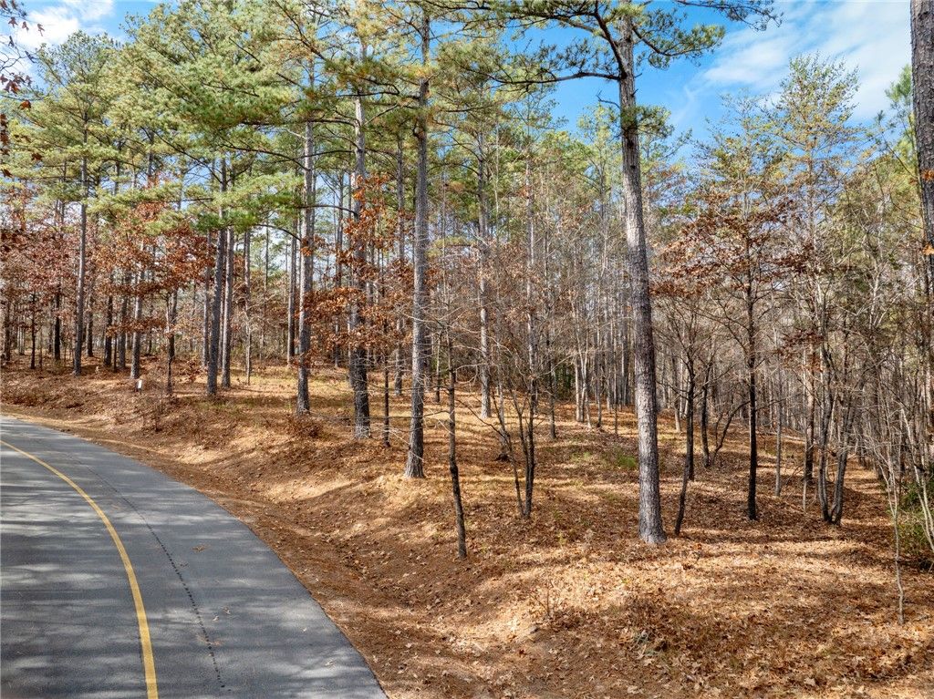 311 Golden Bear Drive, Sunset, SC 29685