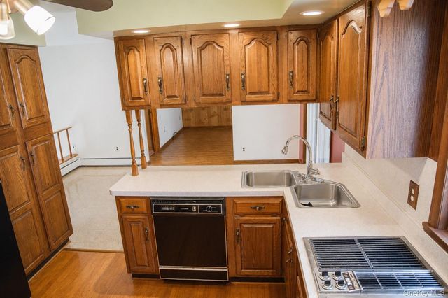 1 Wood Avenue 5, Liberty, NY 12754