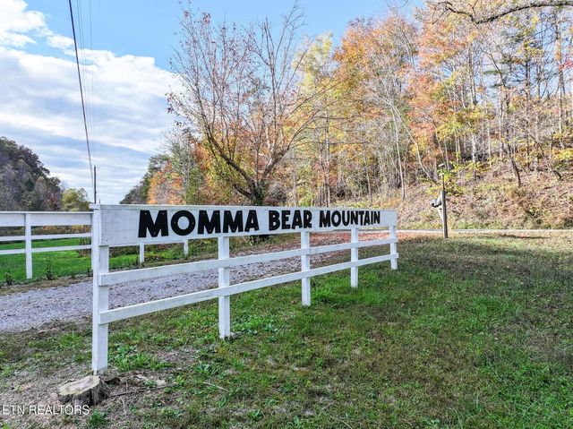 1107 Momma Bear Way, Sevierville, TN 37876