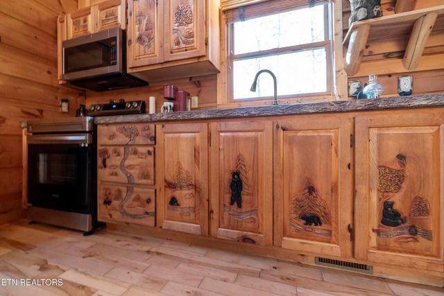 1107 Momma Bear Way, Sevierville, TN 37876
