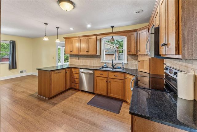 203 S Titus Avenue, Excelsior Springs, MO 64024