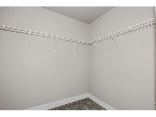 3333 Apple Blossom Ln 4, Greeley, CO 80634