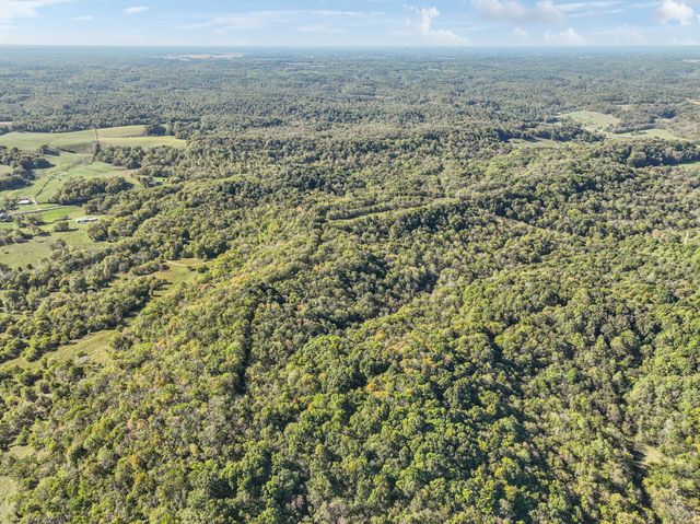 0 Howell Rd, Mount Pleasant, TN 38474