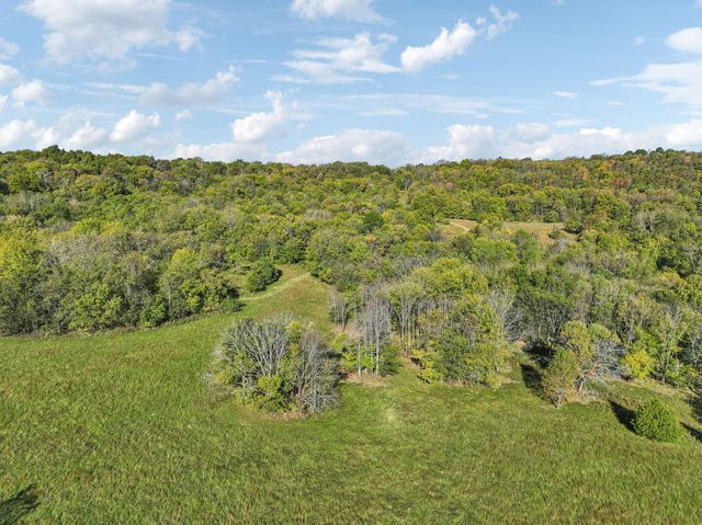 0 Howell Rd, Mount Pleasant, TN 38474