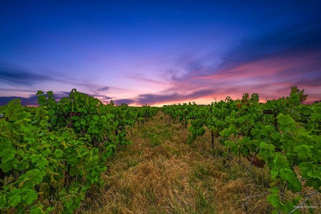 8650 E Highway 12, Lodi, CA 95240