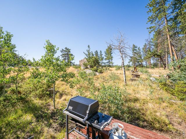 478 Wapiti Rd, Red Feather Lakes, CO 80545