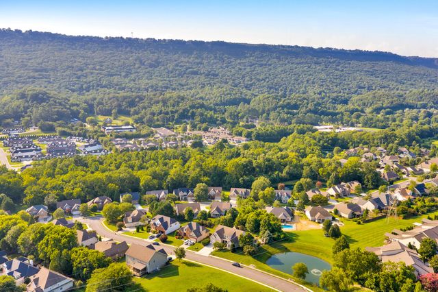 713 Shearer Cove Road, Chattanooga, TN 37405