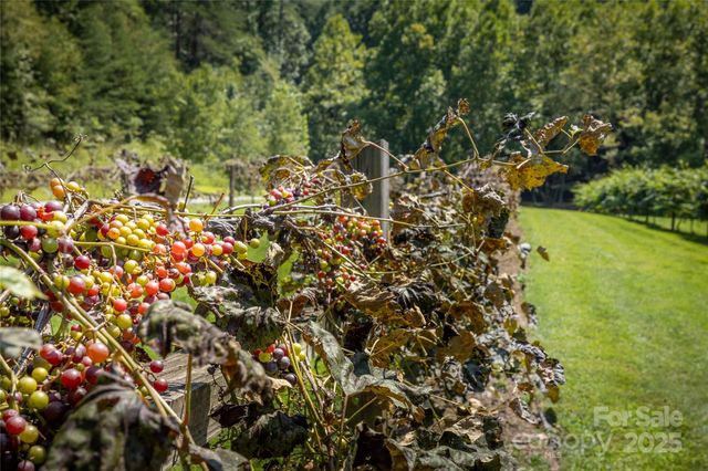 2071 Thoroughbred Way G19, Lenoir, NC 28645