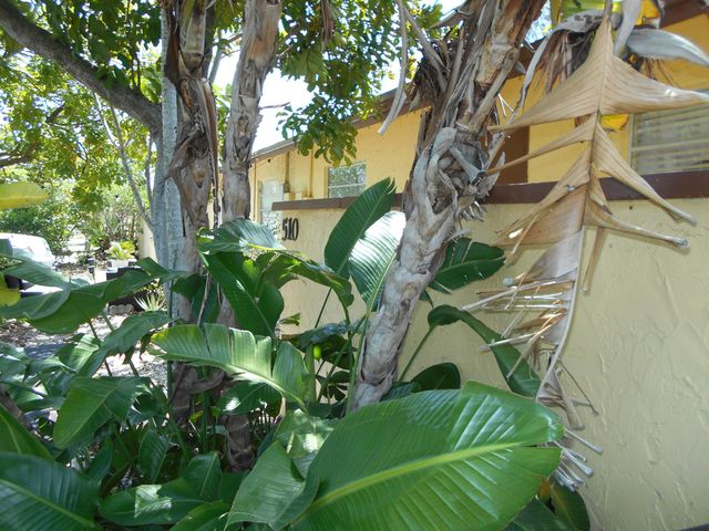 510 NW 43rd Street, Deerfield Beach, FL 33064