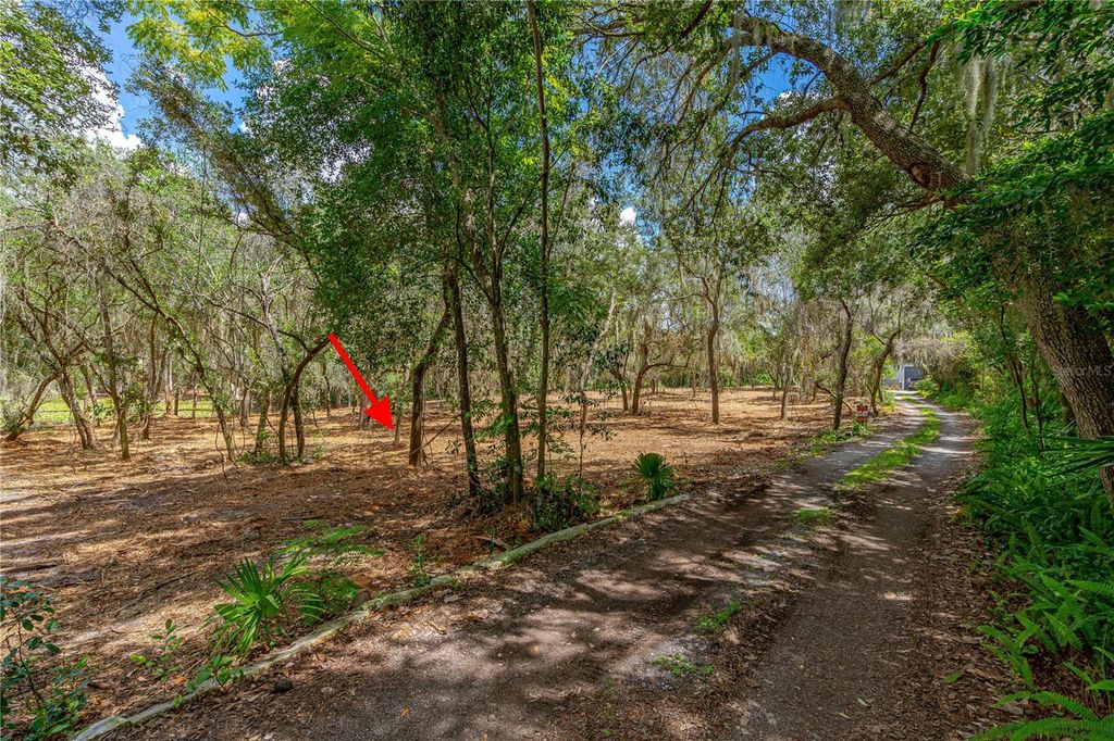 Image 6 of property listing at TWIN OAK STREET, Deltona, FL 32725