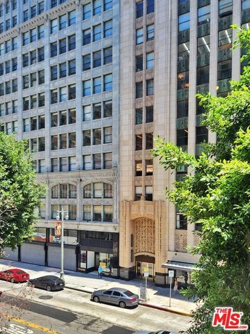 849 S Broadway 203, Los Angeles, CA 90014