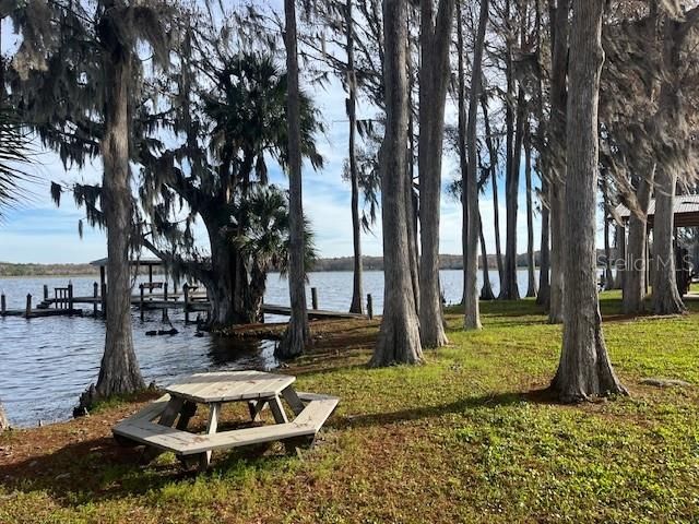 2842 HIGHLANDS BOULEVARD A, Palm Harbor, FL 34684