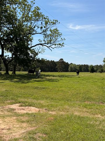 720 Haggerty Road, Karnack, TX 75661