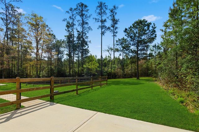 11958 High Branch Way, Willis, TX 77378