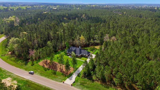 11958 High Branch Way, Willis, TX 77378