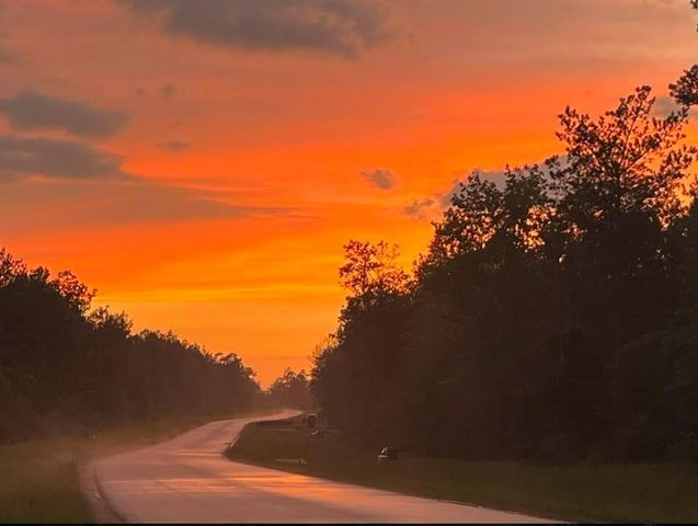 11958 High Branch Way, Willis, TX 77378