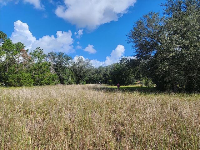 217 LAKEVIEW DRIVE, Melrose, FL 32666