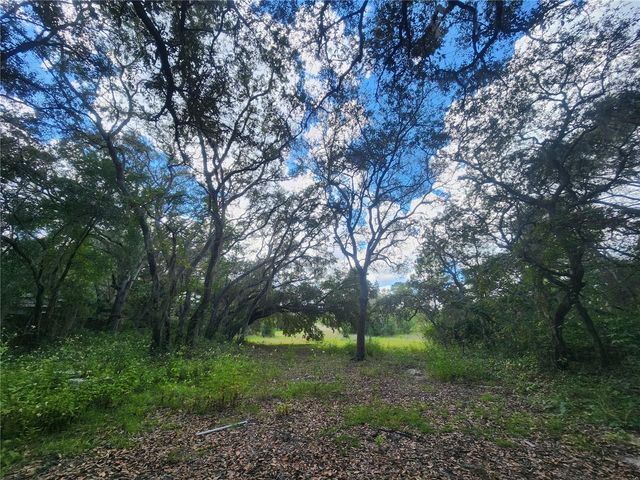 217 LAKEVIEW DRIVE, Melrose, FL 32666