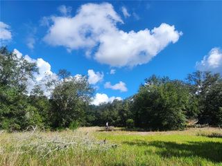 217 LAKEVIEW DRIVE, Melrose, FL 32666