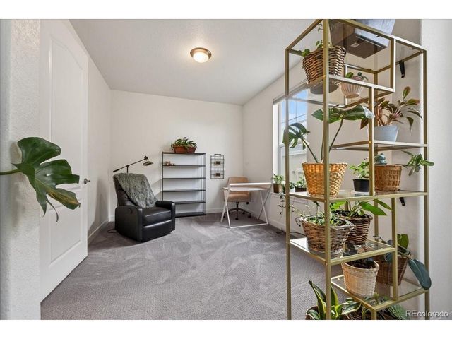 14276 Glencoe St, Thornton, CO 80602