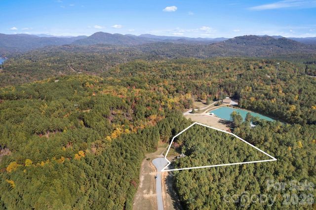 105 Palisade Drive, Mill Spring, NC 28756