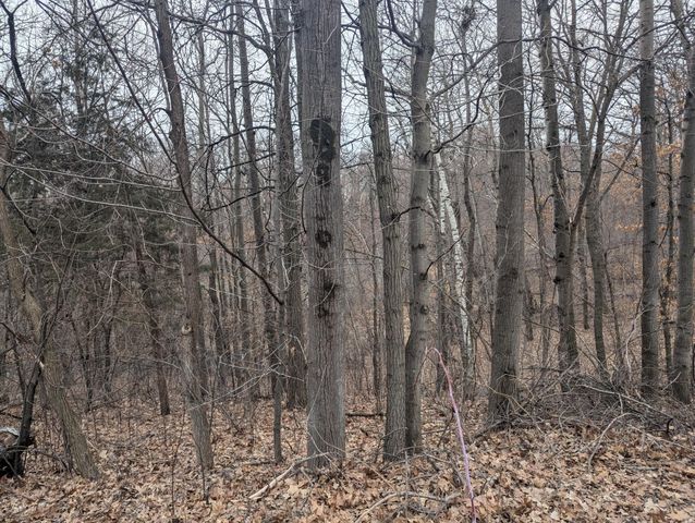 23020 Manning Trail N, Scandia, MN 55073