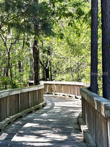 117 Valleybrooke Ct S, Okatie, SC 29909