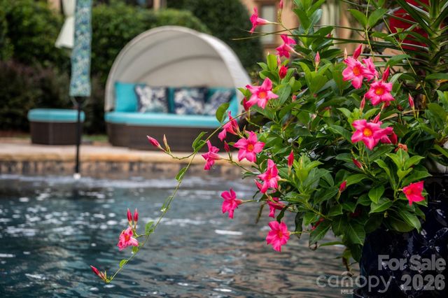 7915 Skye Lochs Drive, Waxhaw, NC 28173