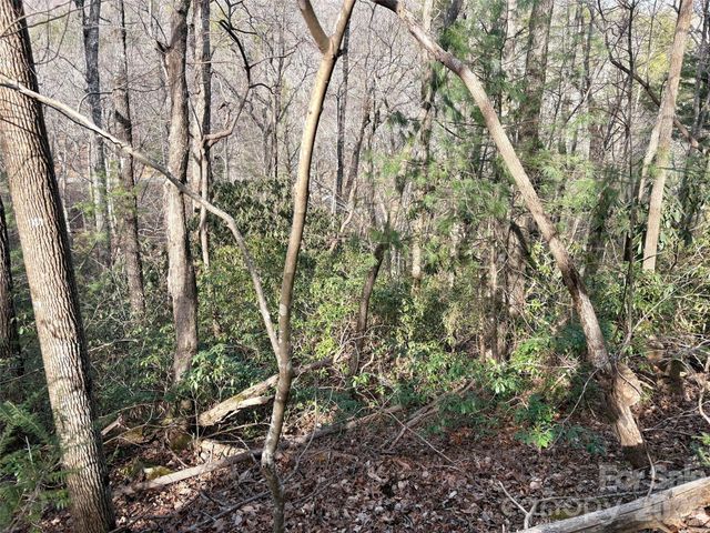 0 Falls View Trail Lot 52, Lake Lure, NC 28746