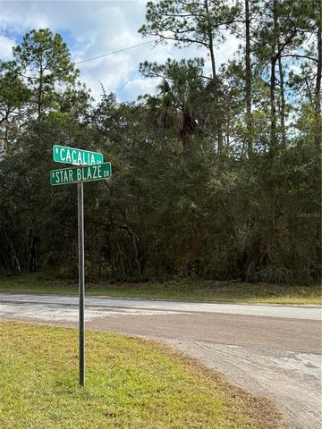 8941 N STAR BLAZE DRIVE 2, Crystal River, FL 34428
