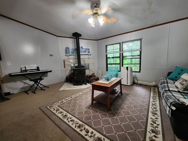 1135 Cane Ridge Rd, Hohenwald, TN 38462