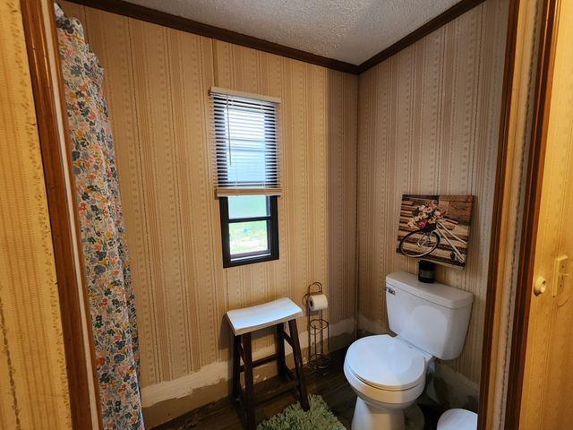 1135 Cane Ridge Rd, Hohenwald, TN 38462