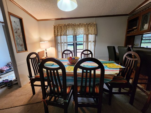 1135 Cane Ridge Rd, Hohenwald, TN 38462