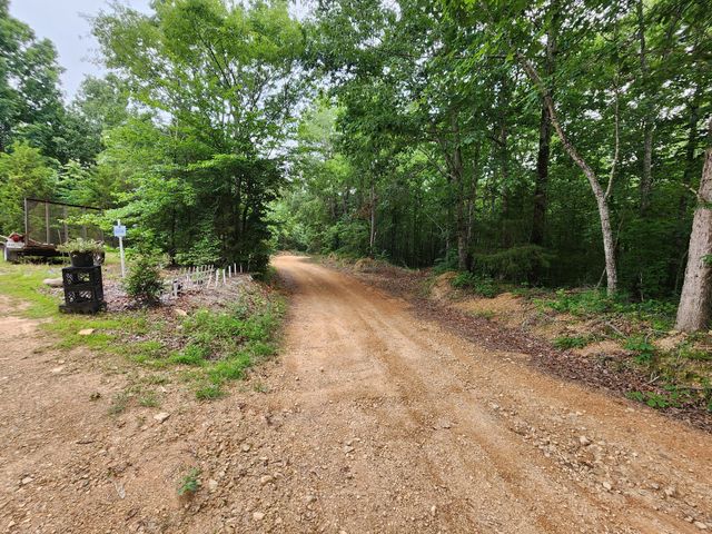 1135 Cane Ridge Rd, Hohenwald, TN 38462