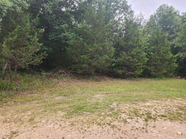 1135 Cane Ridge Rd, Hohenwald, TN 38462