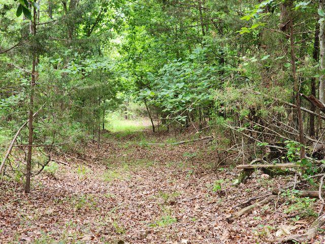 1135 Cane Ridge Rd, Hohenwald, TN 38462