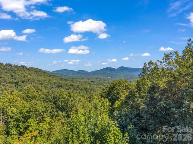 485 Mountain Lookout Drive, Bostic, NC 28018