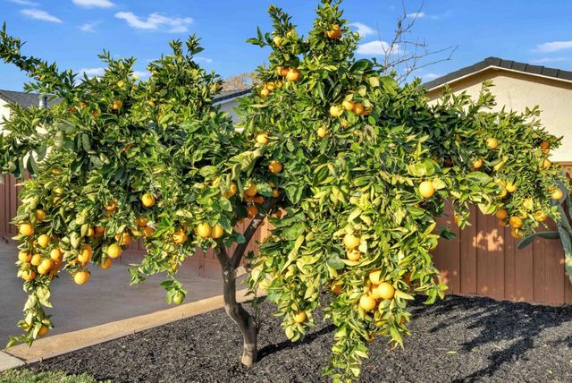 2862 Little Rock Drive, San Jose, CA 95133