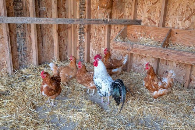 2862 Little Rock Drive, San Jose, CA 95133